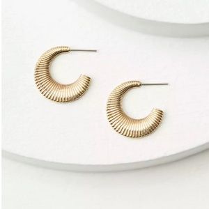 NWT Gold Hoops